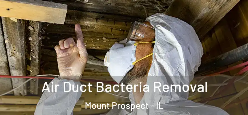 Air Duct Bacteria Removal Mount Prospect - IL