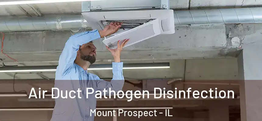  Air Duct Pathogen Disinfection Mount Prospect - IL