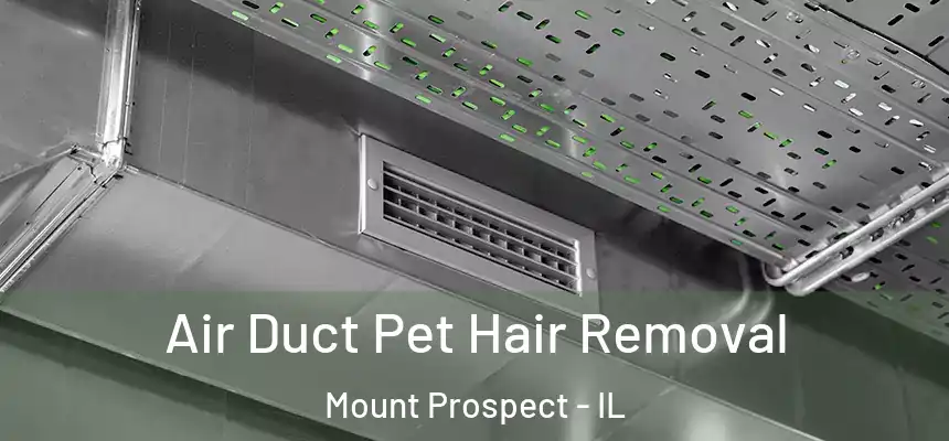 Air Duct Pet Hair Removal Mount Prospect - IL