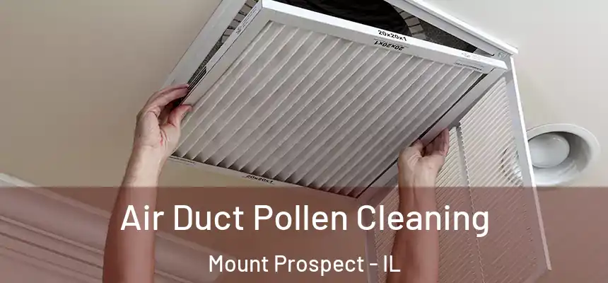 Air Duct Pollen Cleaning Mount Prospect - IL