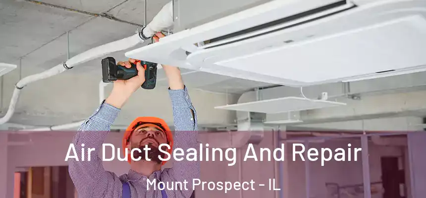 Air Duct Sealing And Repair Mount Prospect - IL