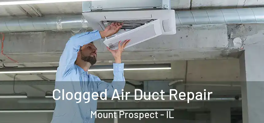 Clogged Air Duct Repair Mount Prospect - IL