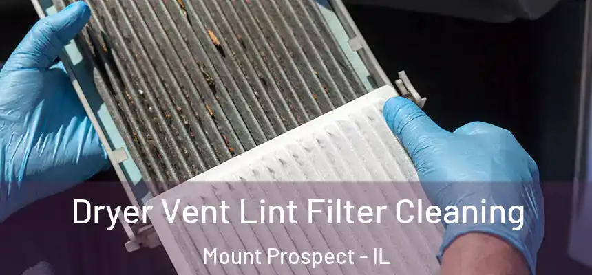  Dryer Vent Lint Filter Cleaning Mount Prospect - IL
