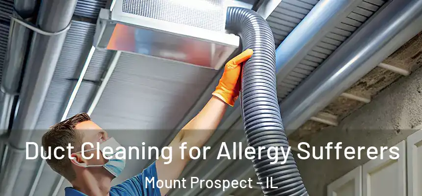  Duct Cleaning for Allergy Sufferers Mount Prospect - IL