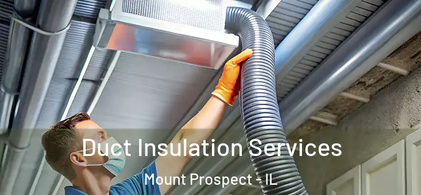  Duct Insulation Services Mount Prospect - IL