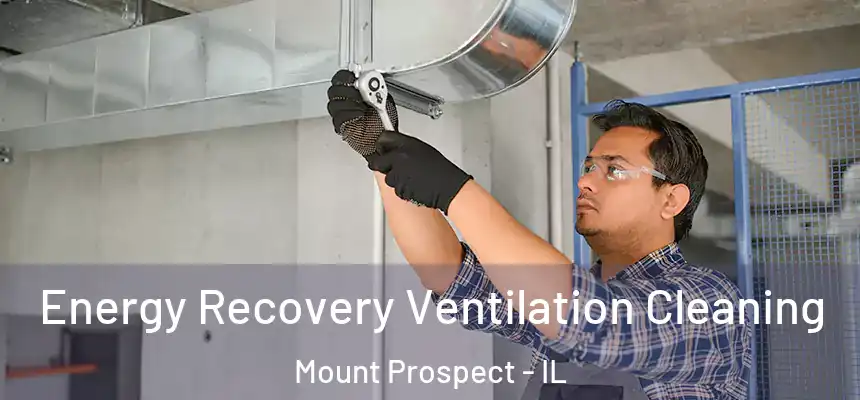 Energy Recovery Ventilation Cleaning Mount Prospect - IL