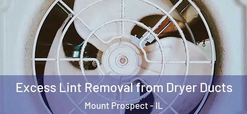 Excess Lint Removal from Dryer Ducts Mount Prospect - IL