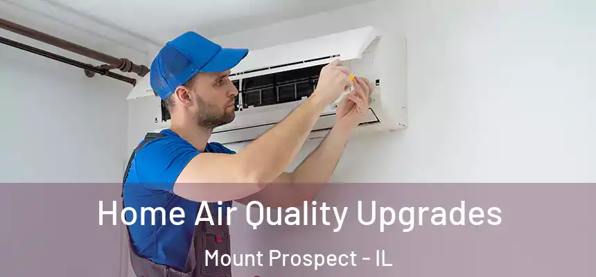  Home Air Quality Upgrades Mount Prospect - IL