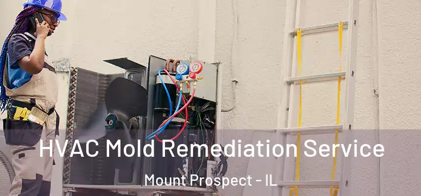 HVAC Mold Remediation Service Mount Prospect - IL