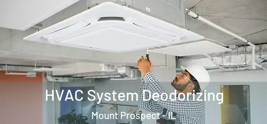  HVAC System Deodorizing Mount Prospect - IL