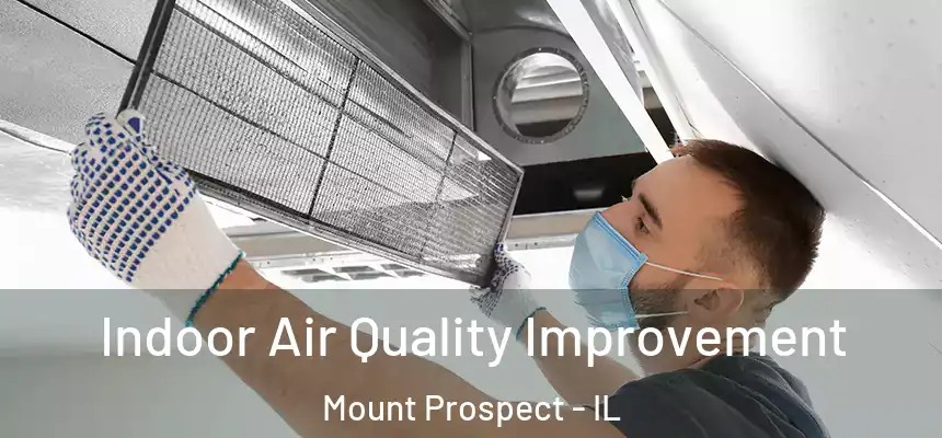 Indoor Air Quality Improvement Mount Prospect - IL