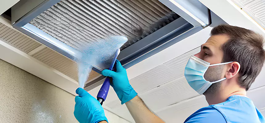 Proactive Dryer Vent & Auxiliary Duct Pollen Cleanup in Mount Prospect, IL