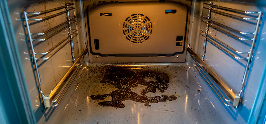 Our Dryer Vent Mold Cleaning Services in Mount Prospect, IL