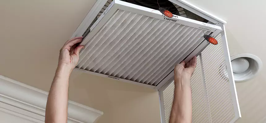 Our Insect Removal from Air Ducts Services in Mount Prospect, IL