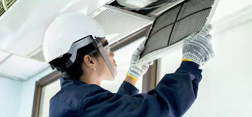 Our Mold & Mildew Removal from Air Ducts Services in Mount Prospect, IL