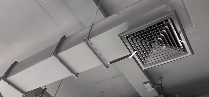 Our Pest Removal From Ducts Services in Mount Prospect, IL