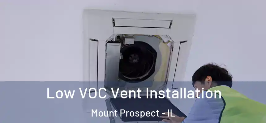  Low VOC Vent Installation Mount Prospect - IL