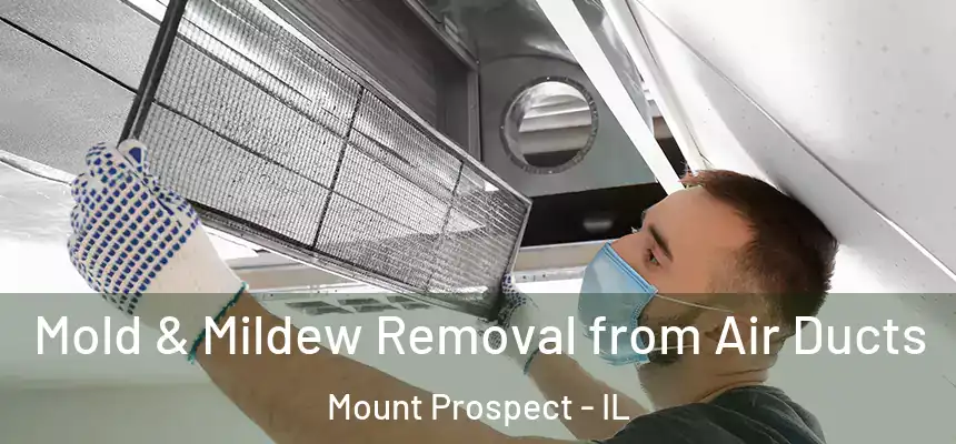 Mold & Mildew Removal from Air Ducts Mount Prospect - IL