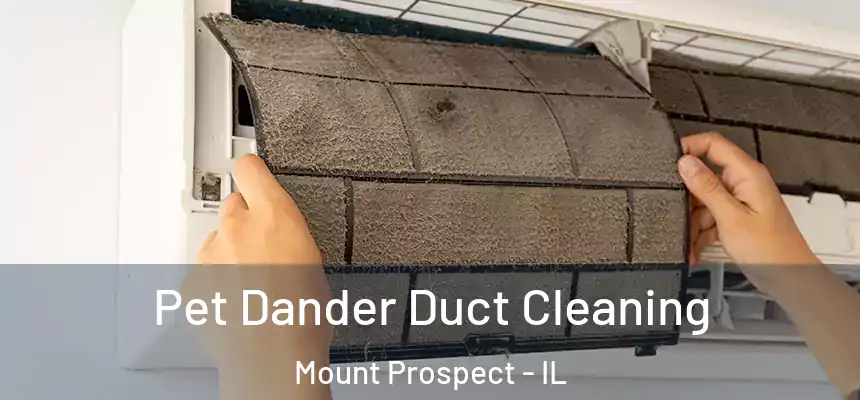  Pet Dander Duct Cleaning Mount Prospect - IL
