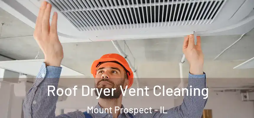 Roof Dryer Vent Cleaning Mount Prospect - IL