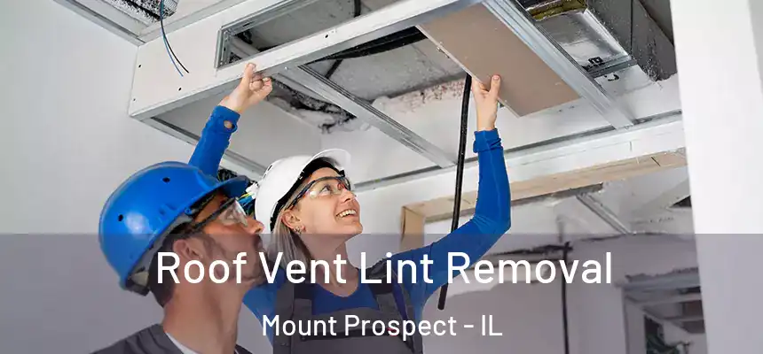 Roof Vent Lint Removal Mount Prospect - IL