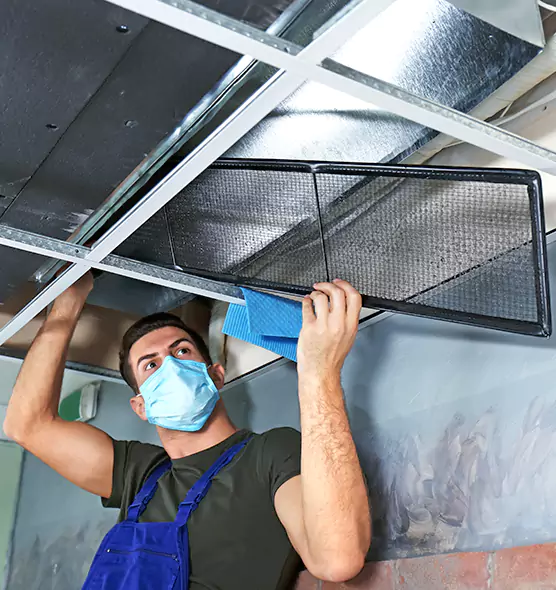 About Air Duct Bacteria Removal in Mount Prospect