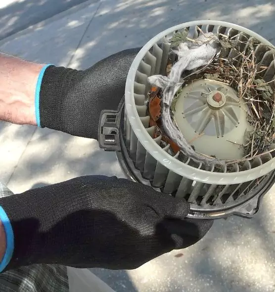 About Air Duct Mice Removal in Mount Prospect, IL