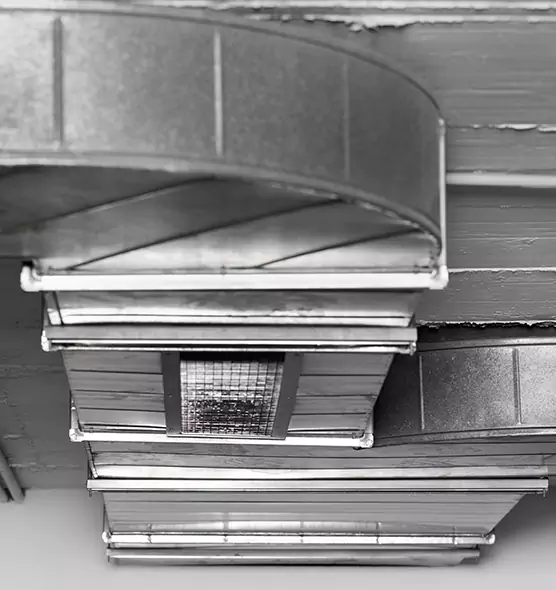 Professional Air Duct Pest Removal in Mount Prospect, IL