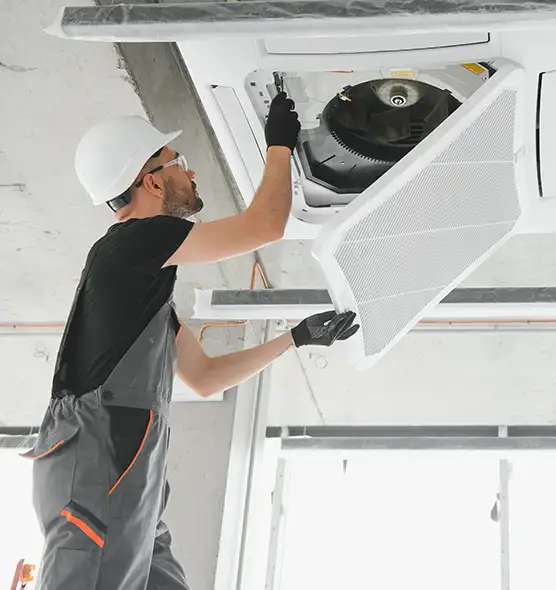 About Air Duct Rodent Removal in Mount Prospect, IL