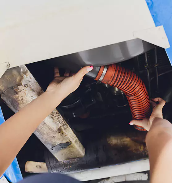 About Air Duct Virus Disinfection in Mount Prospect, IL