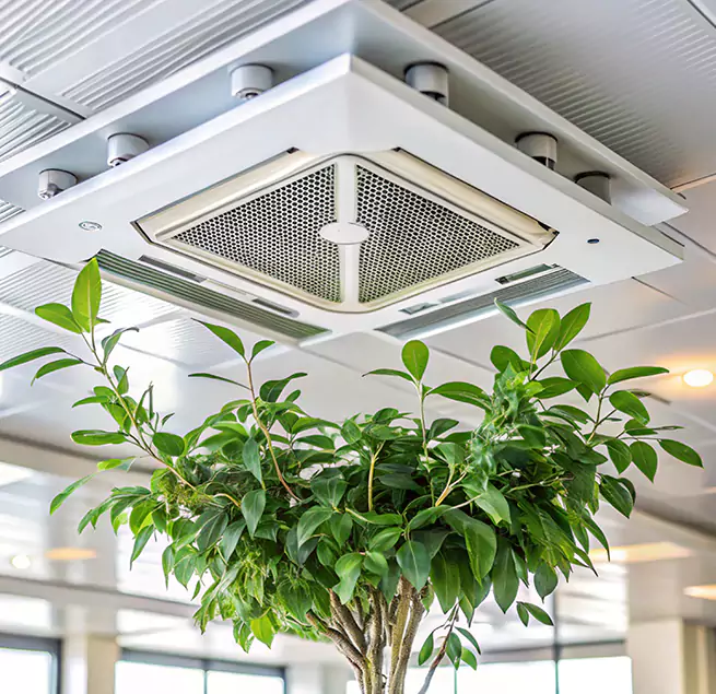 Why Homeowners & Businesses Trust Us in Mount Prospect, IL?