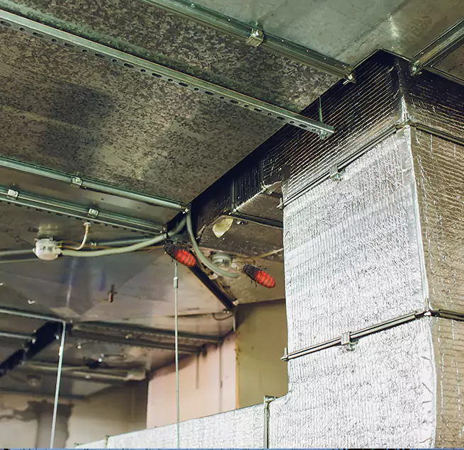 Why Homeowners & Businesses Trust Us Mount Prospect, IL?