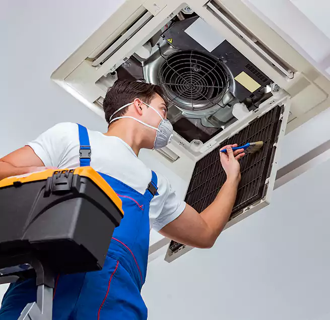 Why Homeowners & Businesses Trust Us in Mount Prospect, IL?